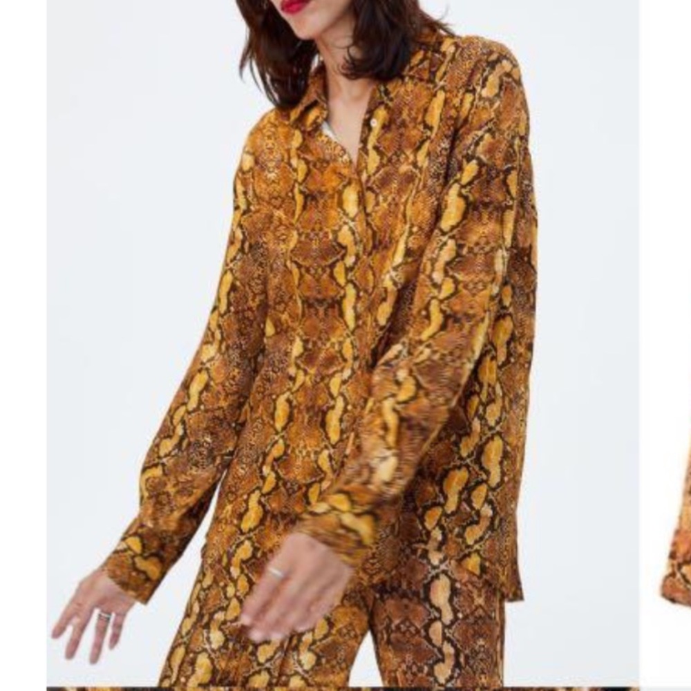 Zara Snake Print Button-Up Shirt Size XXL